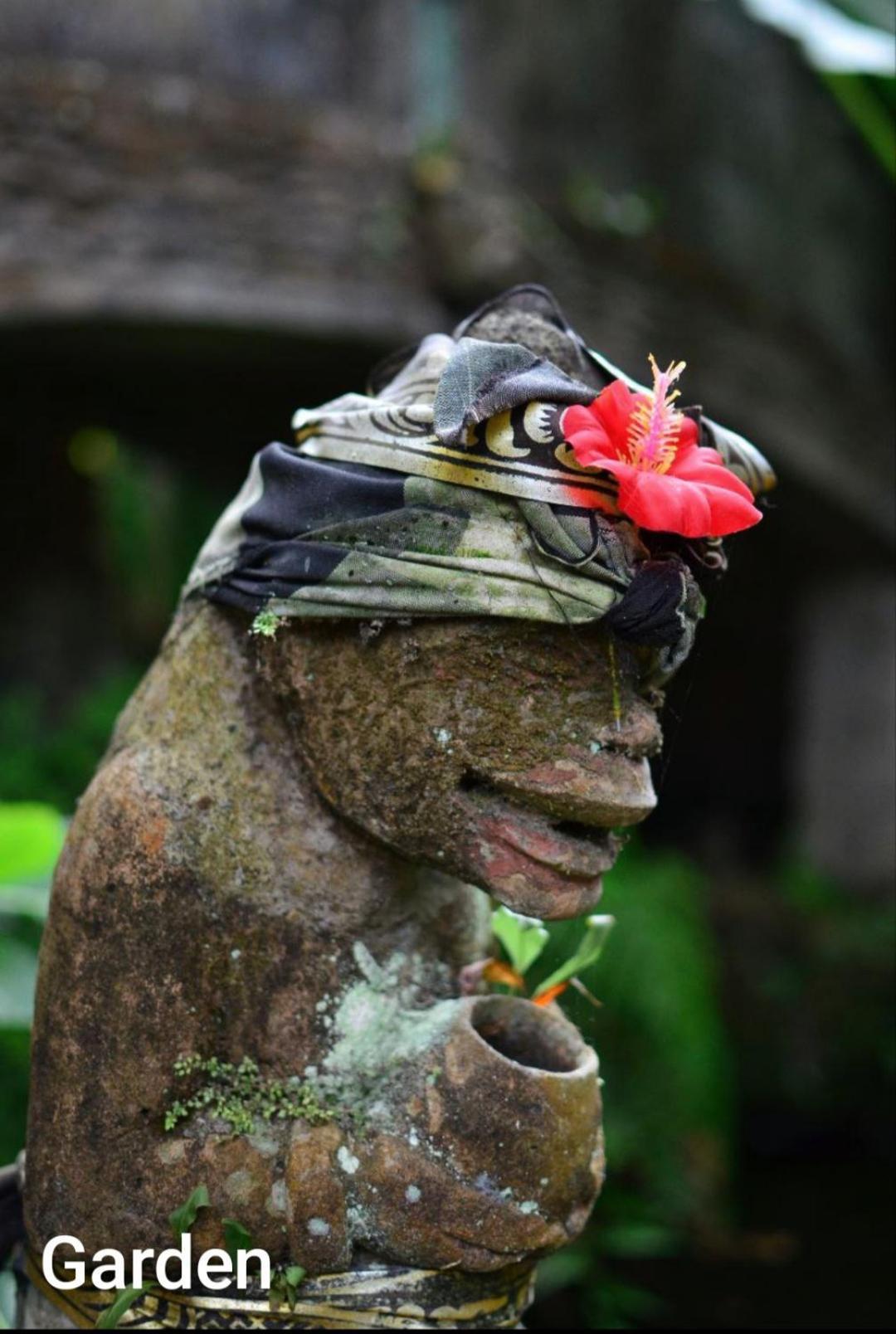 Guci Guesthouses Ubud Dış mekan fotoğraf
